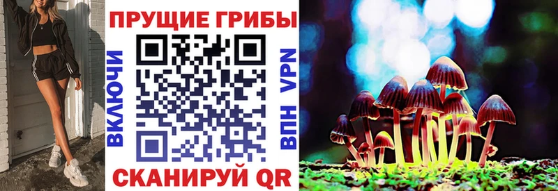 Галлюциногенные грибы мухоморы Купить Елабуга